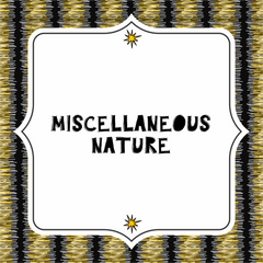 Collection image for: Miscellaneous Nature