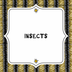 Collection image for: Insects
