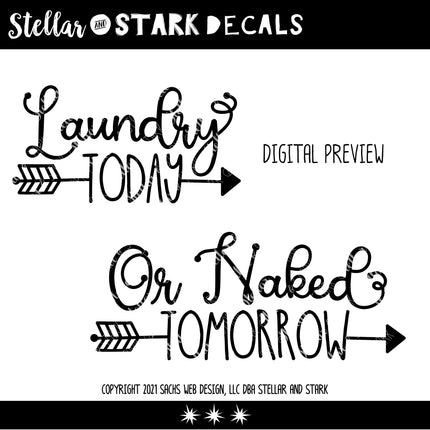 Cute Laundry Today or Naked Tomorrow Wash and Dry Vinyl Decal/Sticker