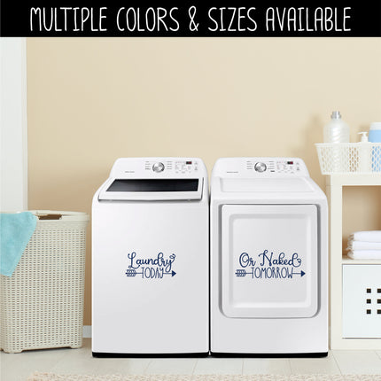 Cute Laundry Today or Naked Tomorrow Wash and Dry Vinyl Decal/Sticker