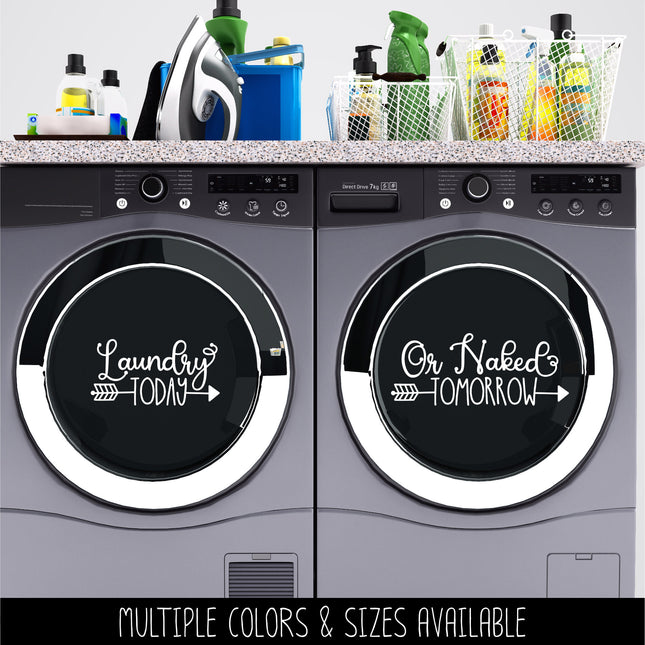 Cute Laundry Today or Naked Tomorrow Wash and Dry Vinyl Decal/Sticker